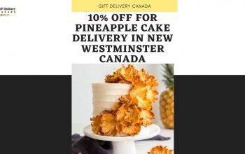 Pineapple cake Delivery in New Westminster Canada & Free Shipping