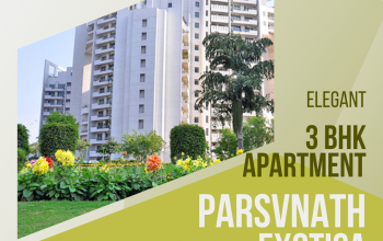 Parsvnath Exotica for Rent on Golf Course Road Gurugram – 3 Bhk Apartments for Rent in Gurugram
