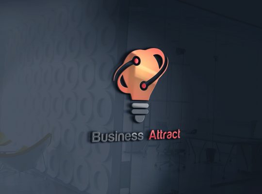 Affordable Logo Design