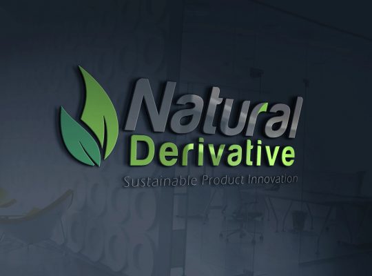 Affordable Logo Design