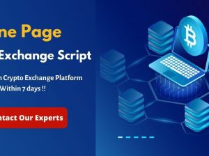 Crypto Exchange Script for Peer to Peer Crypto Exchange Website