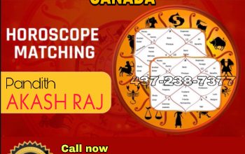 AKASH RAJ- Astrologer in Toronto, Brampton, Scarborough, Vaughan