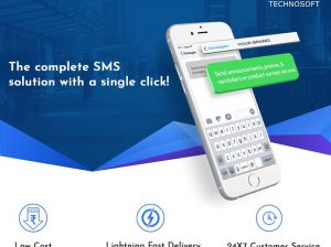 Bulk SMS Service in India