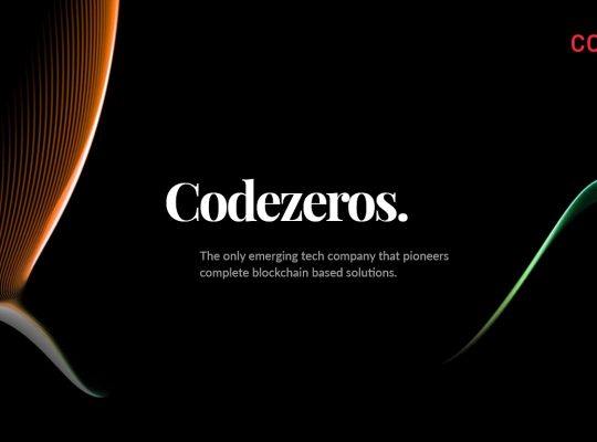 Hedera Hashgraph Development | Hedera Hashgraph Solutions