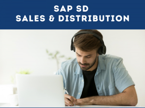 SAP SD Online Training