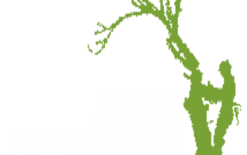 Jesus Hernandez Tree Service