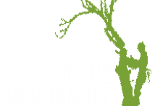 Jesus Hernandez Tree Service