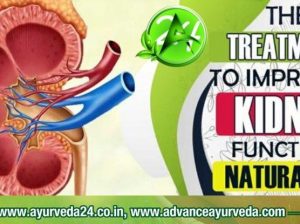 Ayurvedic Medicine for Kidney Failure
