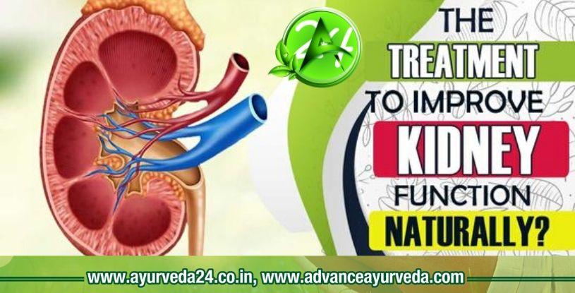 Ayurvedic Medicine for Kidney Failure