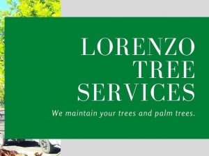 Lorenzo Tree Service
