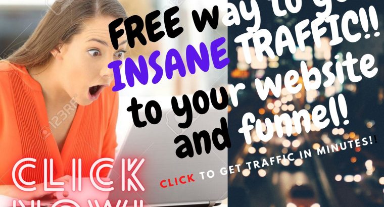 FREE BOOK REVEALS HOW TO GET INSANE TRAFFIC TO YOUR WEBSITE!!!