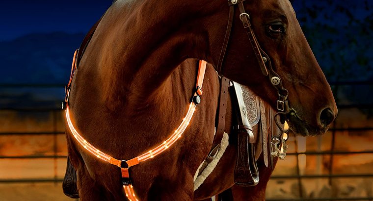 Horse Drip Safety Night LED Bridle Headband