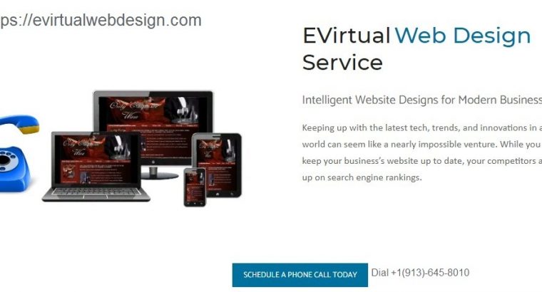 Evirtual Web Design Service Agency