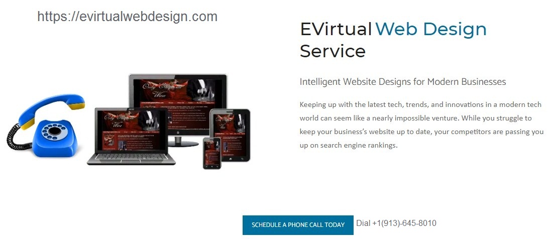 Evirtual Web Design Service Agency