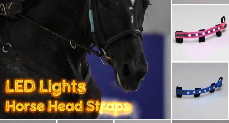 Horse Drip Safety Night LED Bridle Headband