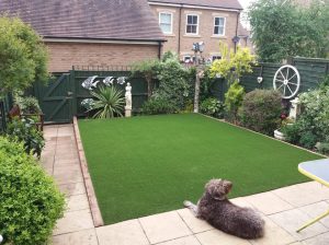 Get Natural-Looking & High-Quality Artificial Grass at the Best Price – Contact us Now.!