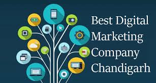 Devex Hub | Digital Marketing Company in Chandigarh