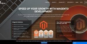 i-Verve Inc: Magento Development and Maintenance Company | Hire Magento Developers