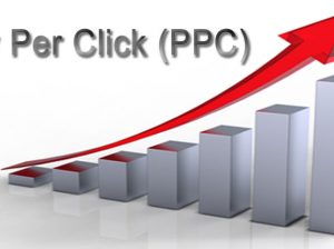 Benefit Yourself With the Best PPC Company – Devexhub