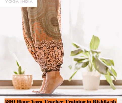 200 Hour Yoga Teacher Training in Rishikesh | Yoga certification courses