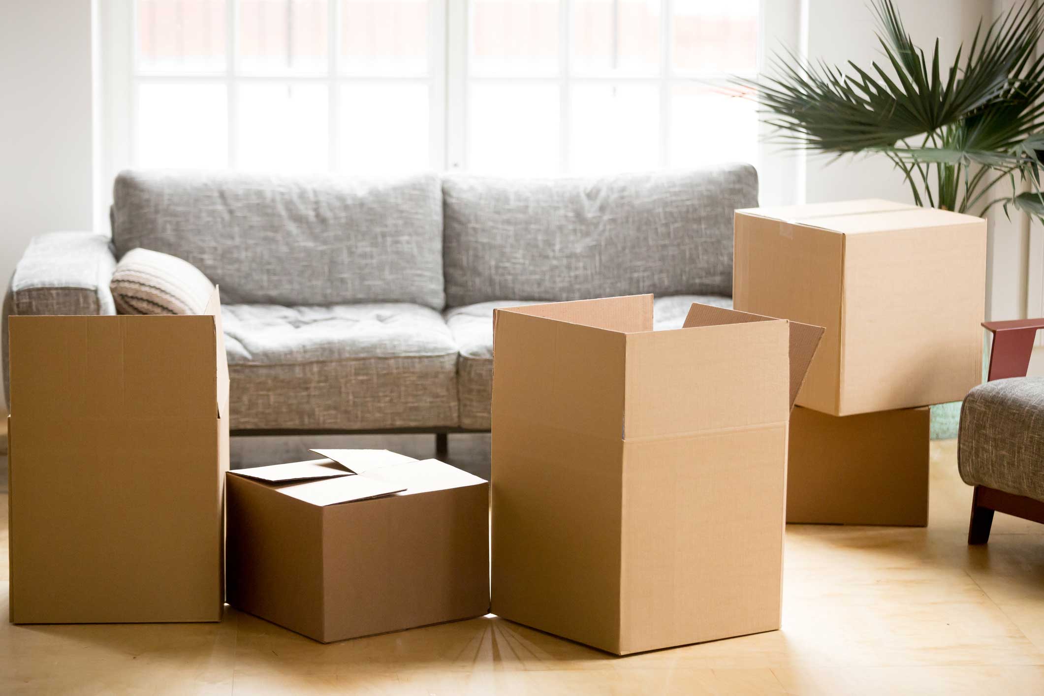 House Movers Melbourne – Professional Removal service