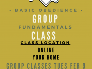Online Fundamentals Group Class Location Online, 931-516-3064