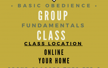 Online Fundamentals Group Class Location Online, 931-516-3064
