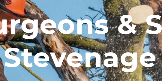 Tree Surgeons & Surgery
