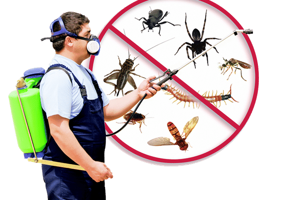 Pest control Greenford