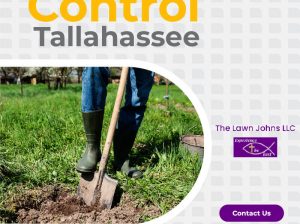 Get Flowerbed Weed Control in Tallahassee At The Lawn Johns