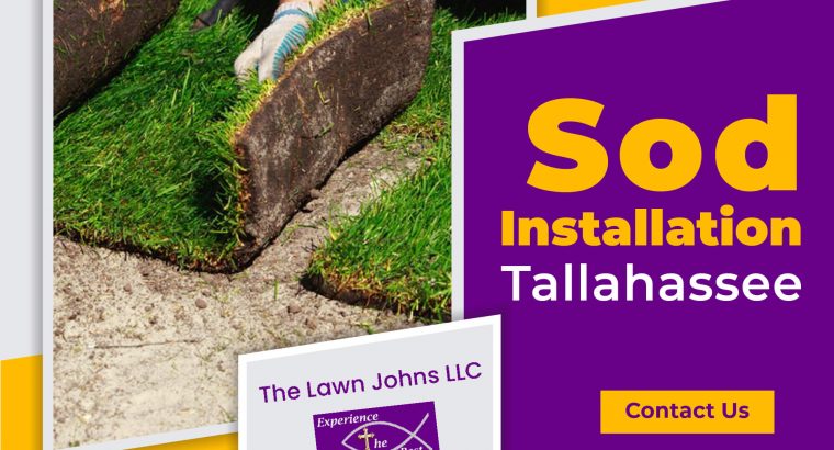 Are You Looking for lawn’s renovation and sodding services?