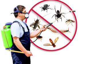 Pest Control Pinner