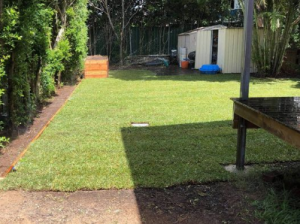 Buffalo palmetto and planter box with full automated irrigation system