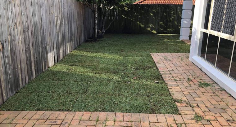 Has your yard turned into a forest? New turf yes please.