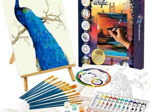 Painting Set with Paint by Number Kits – Peacock Painting