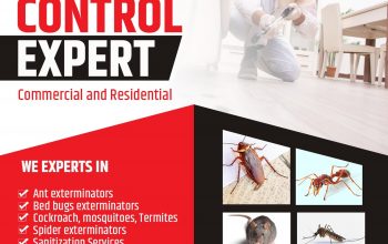 Pest Control Services in Mumbai – Sadguru Pest Control
