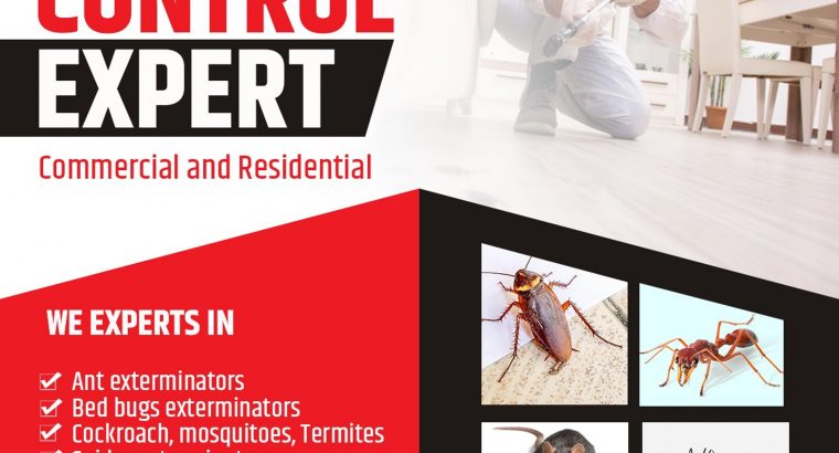 Pest Control Services in Mumbai – Sadguru Pest Control