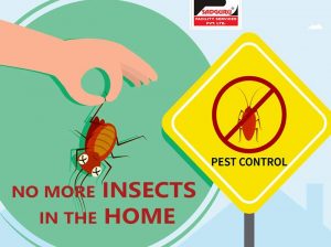Pest Control Services in Kandivali– Sadguru Pest Control