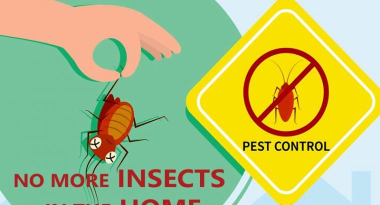 Pest Control Services in Kandivali– Sadguru Pest Control