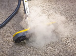 Our Cleaners Remove Stains from Rugs and Carpets