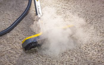 Our Cleaners Remove Stains from Rugs and Carpets