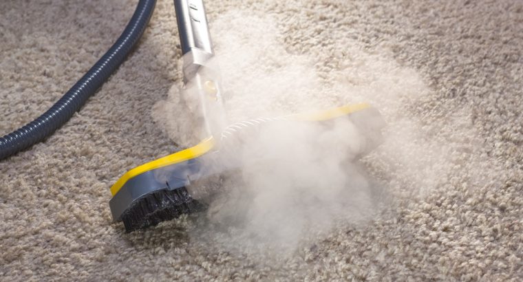 Our Cleaners Remove Stains from Rugs and Carpets