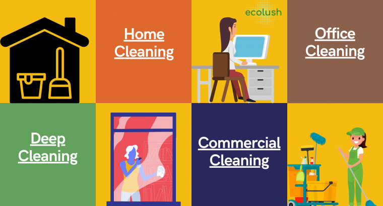 Professional cleaning services in London