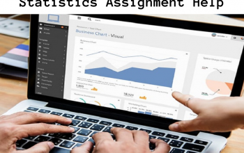 best statistics assignment help