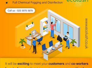 What Ecolush Provide Services as Best Cleaning Services in London?