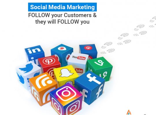 Amatosoft – SEO Services