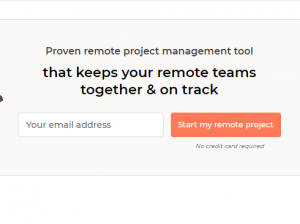 Remote Team Management and Monitor progress in real time