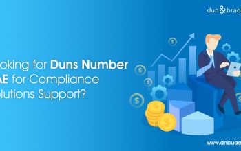How to Access DUNS Number Lookup in Dubai | DNB UAE