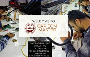 Car ECM Repairing Training Course Online India
