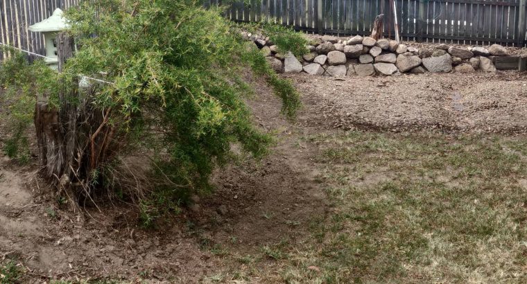 Garden retaining wall and turf prep for seeding.